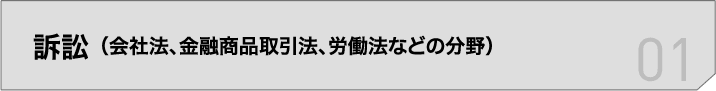 訴訟(会社法、金融商品取引法、労働法などの分野)